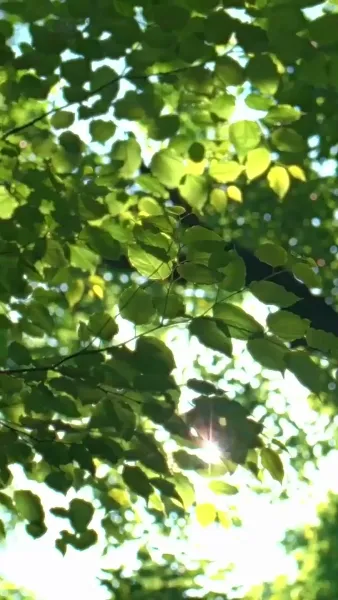 [พากย์เสียง] คุณนายครบเครื่อง จนคุณฟู่หัวใจละลาย