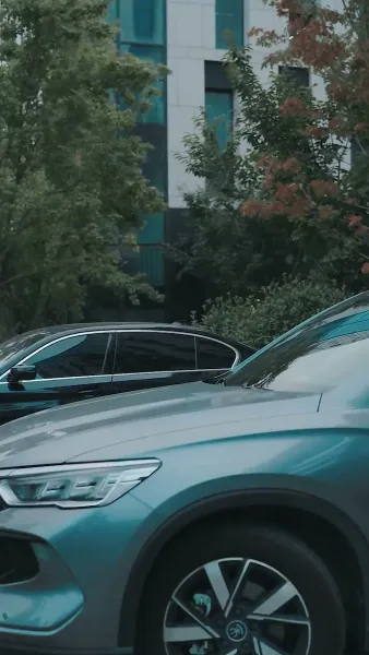 จากท่านประธานผู้มีอำนาจสู่นกในกรงทอง