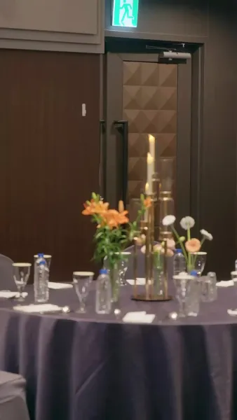 วิวาห์พลั้งรัก(พากย์ไทย)