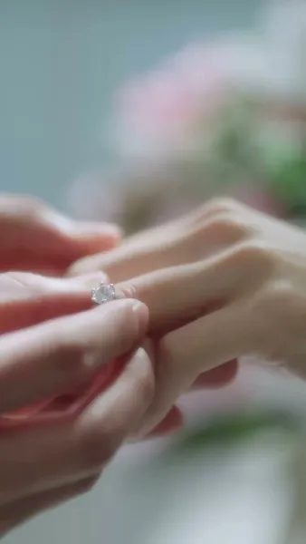 วิวาห์พลั้งรัก(พากย์ไทย)