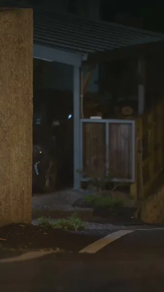 วิวาห์พลั้งรัก(พากย์ไทย)