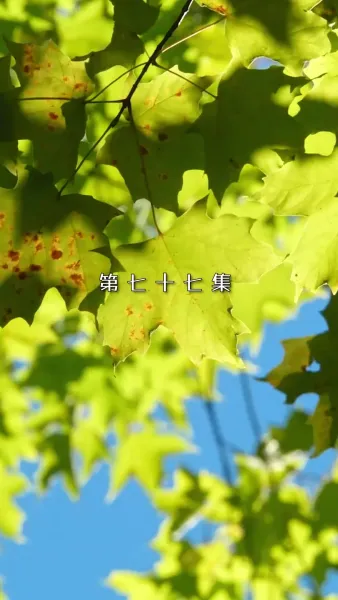 บอสสายโหด เปิดโหมดอ่อนโยน