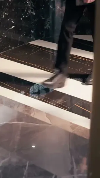 ความลับใต้แสงจันทร์